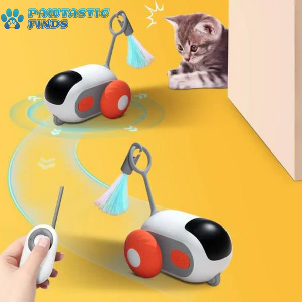 CatChase Interactive Toy Car