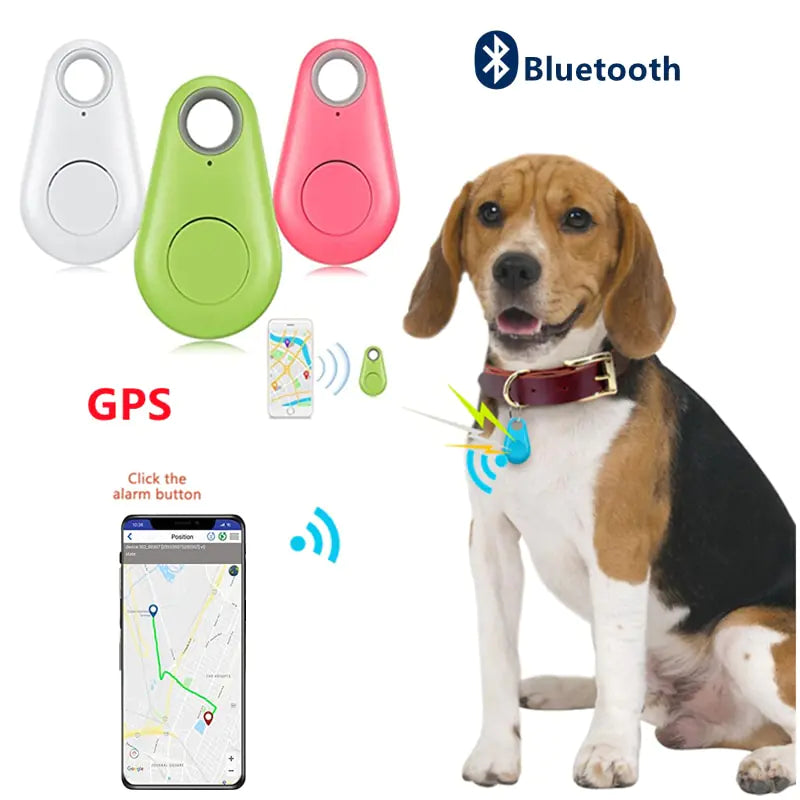 Pet Smart GPS Tracker