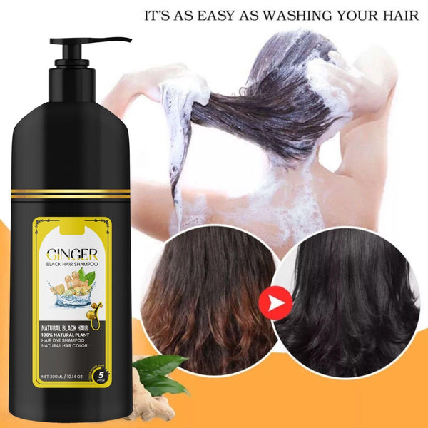 Ginger Black Hair Shampoo Natural Black Hair 300ml