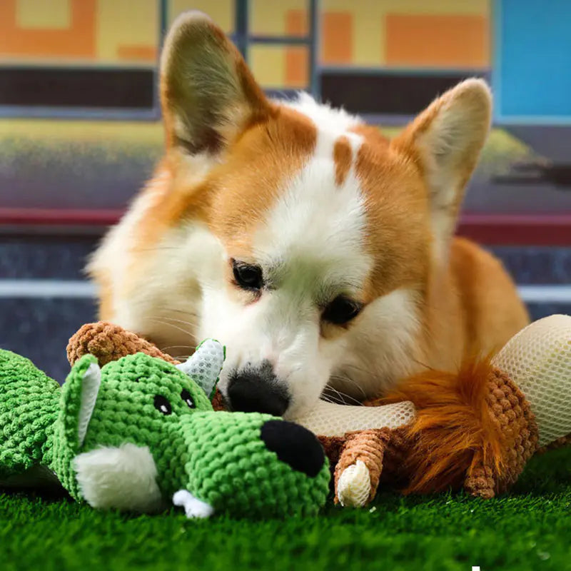 Interactive Teeth Cleaner for Dogs