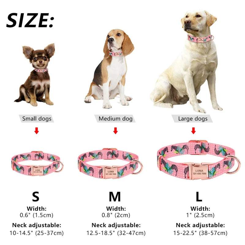 Custom Nylon Pet ID Collar